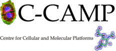 CCamp logo
